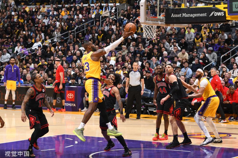 灰熊的激烈 灰熊的激烈